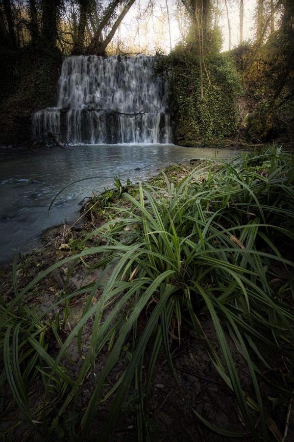 فيلا Il Molinaccio Al Rio Chiaro Civitella dʼAgliano المظهر الخارجي الصورة