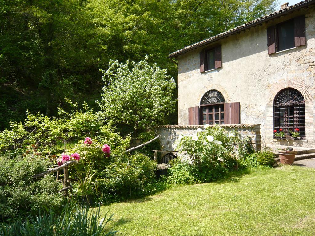 فيلا Il Molinaccio Al Rio Chiaro Civitella dʼAgliano المظهر الخارجي الصورة