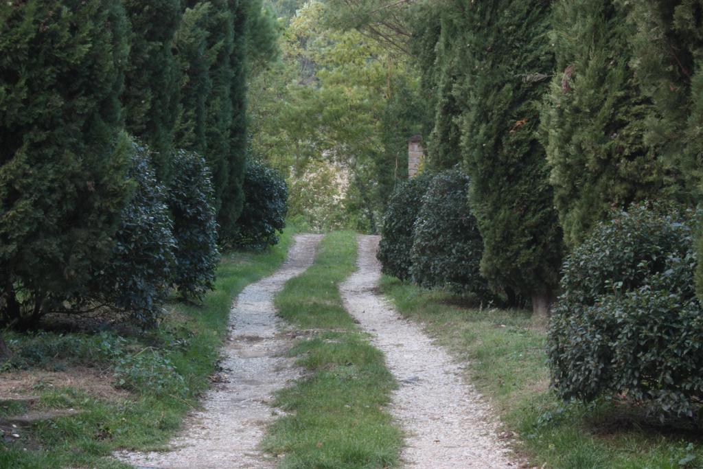 فيلا Il Molinaccio Al Rio Chiaro Civitella dʼAgliano المظهر الخارجي الصورة