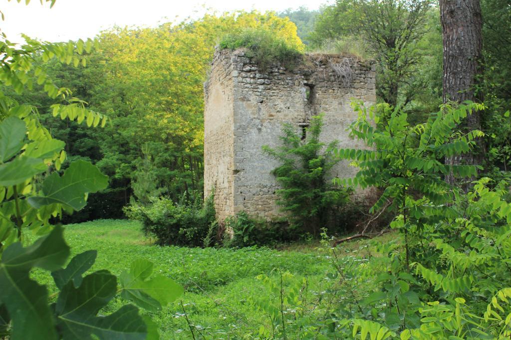 فيلا Il Molinaccio Al Rio Chiaro Civitella dʼAgliano المظهر الخارجي الصورة