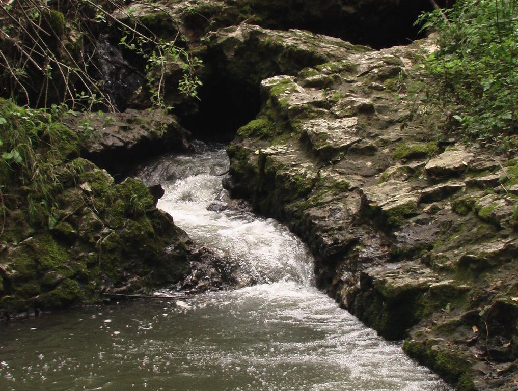 فيلا Il Molinaccio Al Rio Chiaro Civitella dʼAgliano المظهر الخارجي الصورة